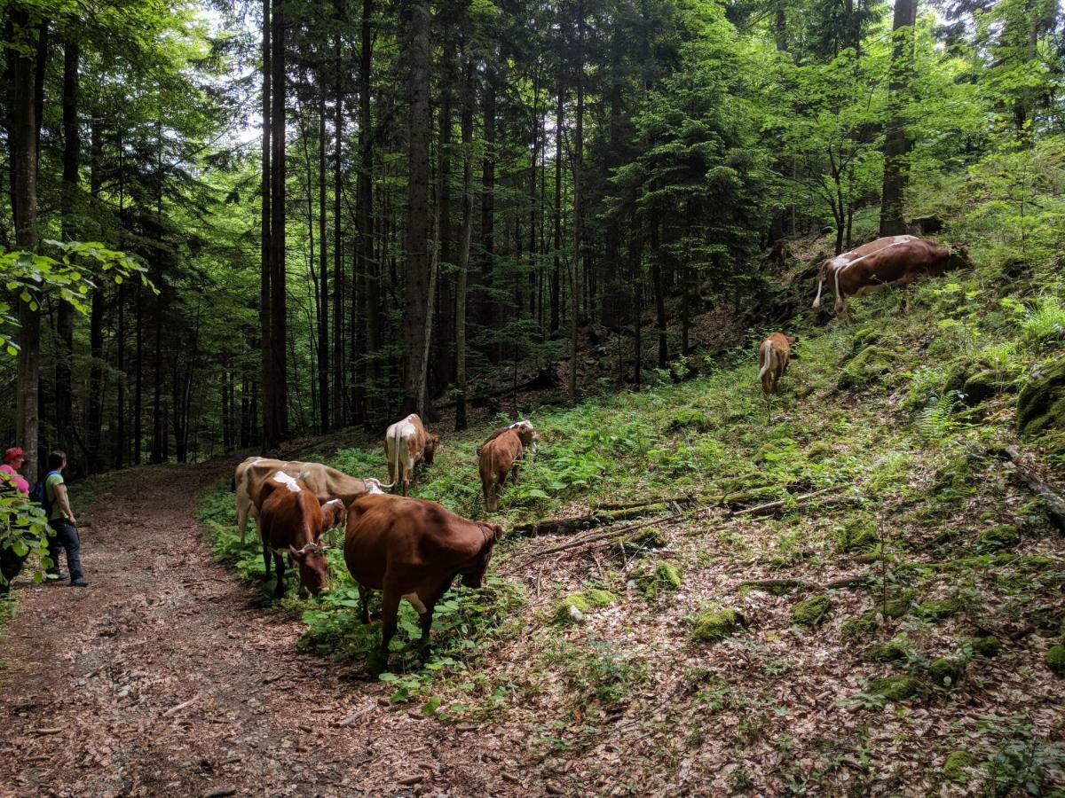 Puzman Farm Glamping Villa Radovljica Luaran gambar