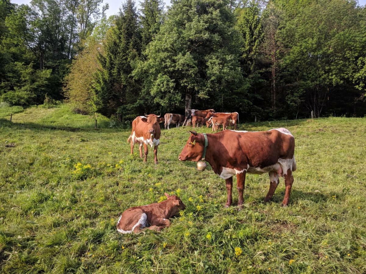 Puzman Farm Glamping Villa Radovljica Luaran gambar